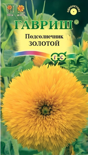 zolotoy-1-288542