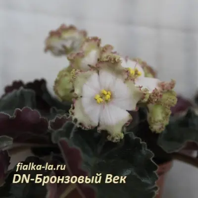 dn-bronzovyy-vek-8-309775