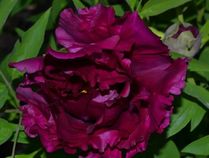 glubokoe-sinee-more-2-305897