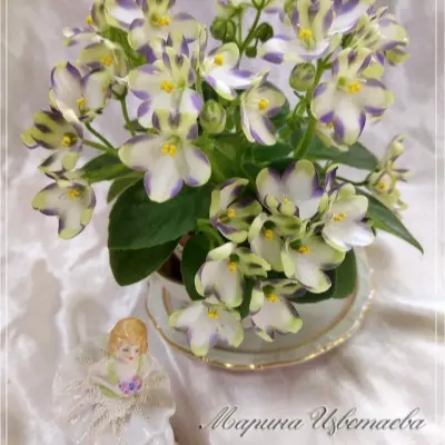 marina-tsvetaeva-a-basenina-5-307980
