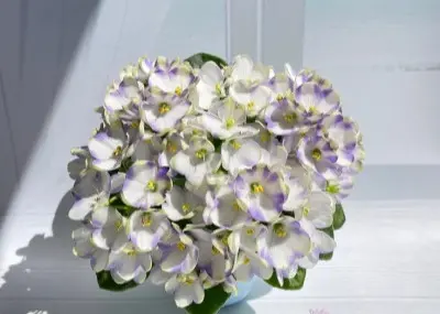 marina-tsvetaeva-a-basenina-9-307980