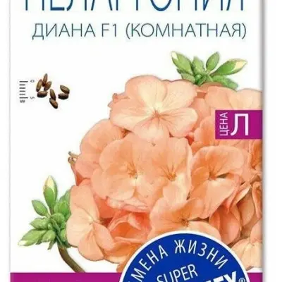 diana-lososevaya-5-335844