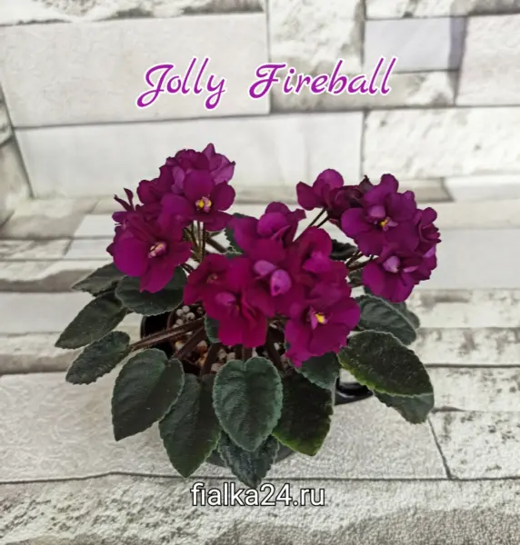 dzholi-fayerbol-jolly-fireball-3-325561