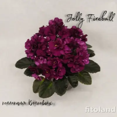dzholi-fayerbol-jolly-fireball-8-325561