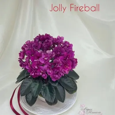 dzholi-fayerbol-jolly-fireball-9-325561