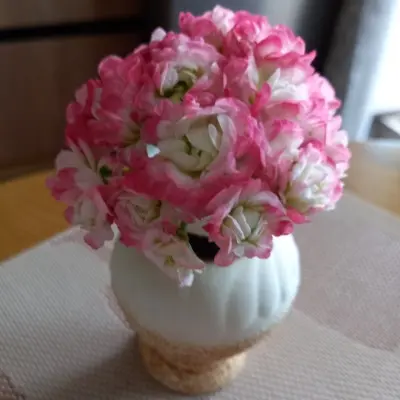eppl-blossom-rozebud-apple-blossom-rosebud-5-338150