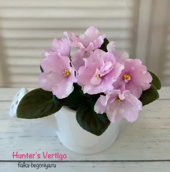 hunters-vertigo-2-311537