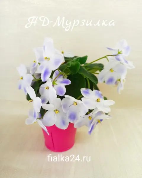 nd-murzilka-2-321681