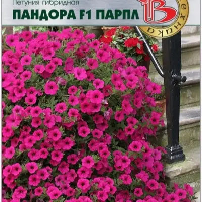 pandora-parpl-4-343471