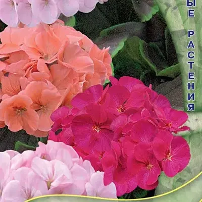 shokoladnitsa-smes-okrasok-main-333426