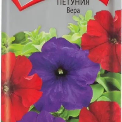vera-2-343422