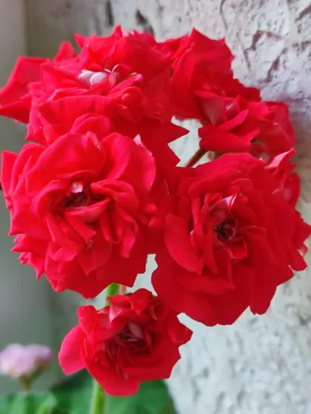 yug-lakomyy-kusochek-main-339318