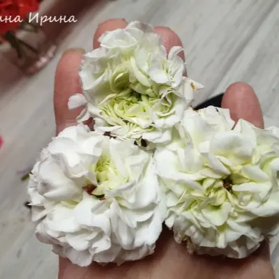 yuv-elbrus-6-335466