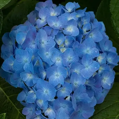 blyu-pauer-blue-power-2-354660