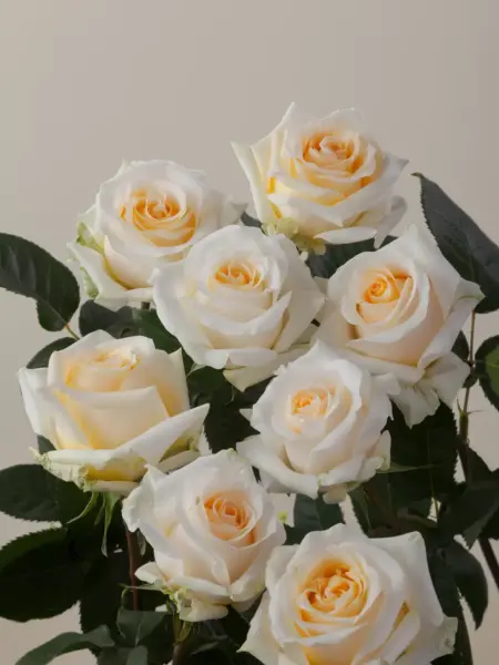 krem-de-lya-krem-2-369444