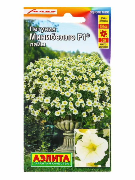 minibello-laym-1-346907