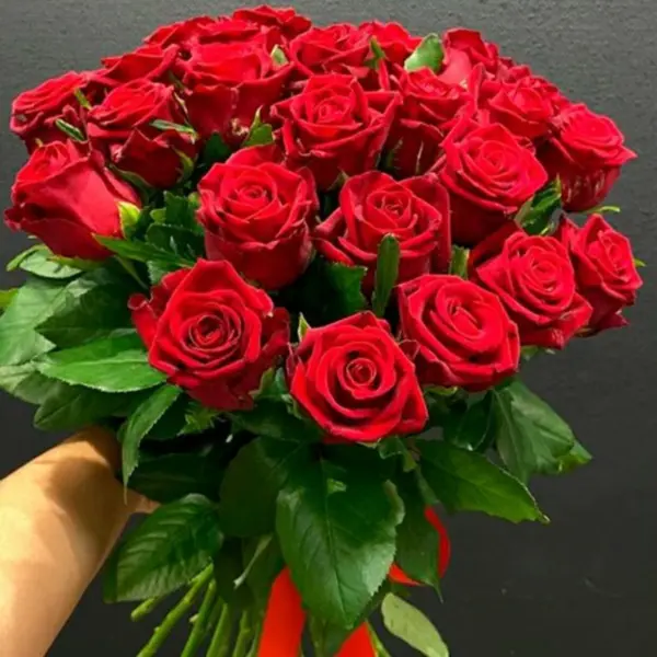kon-amore-4-393516