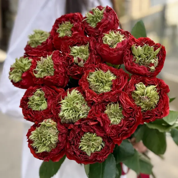 red-monstr-4-392352